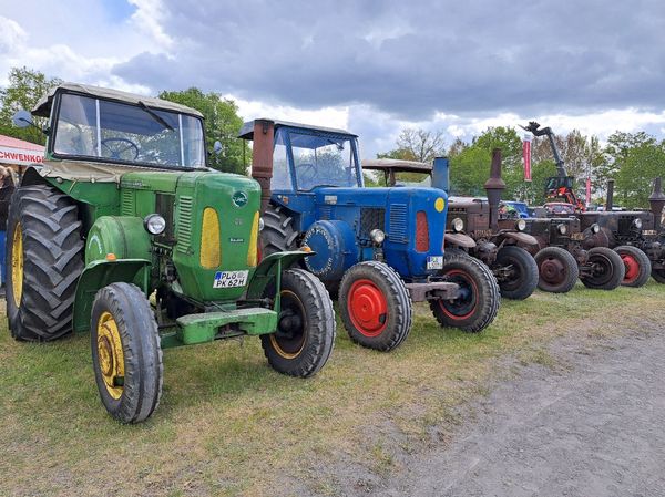 Bulldogs Oldtimerfreunde Probstei