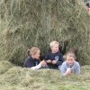 Krokau 2012 Album 2
