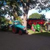 Landeserntedankfest 2019 in Schönberg